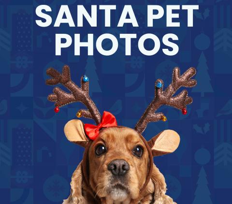 Santa Pet photos CAS