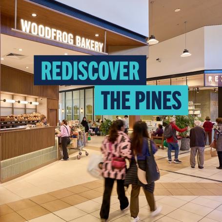 discover what's new the pines rediscover