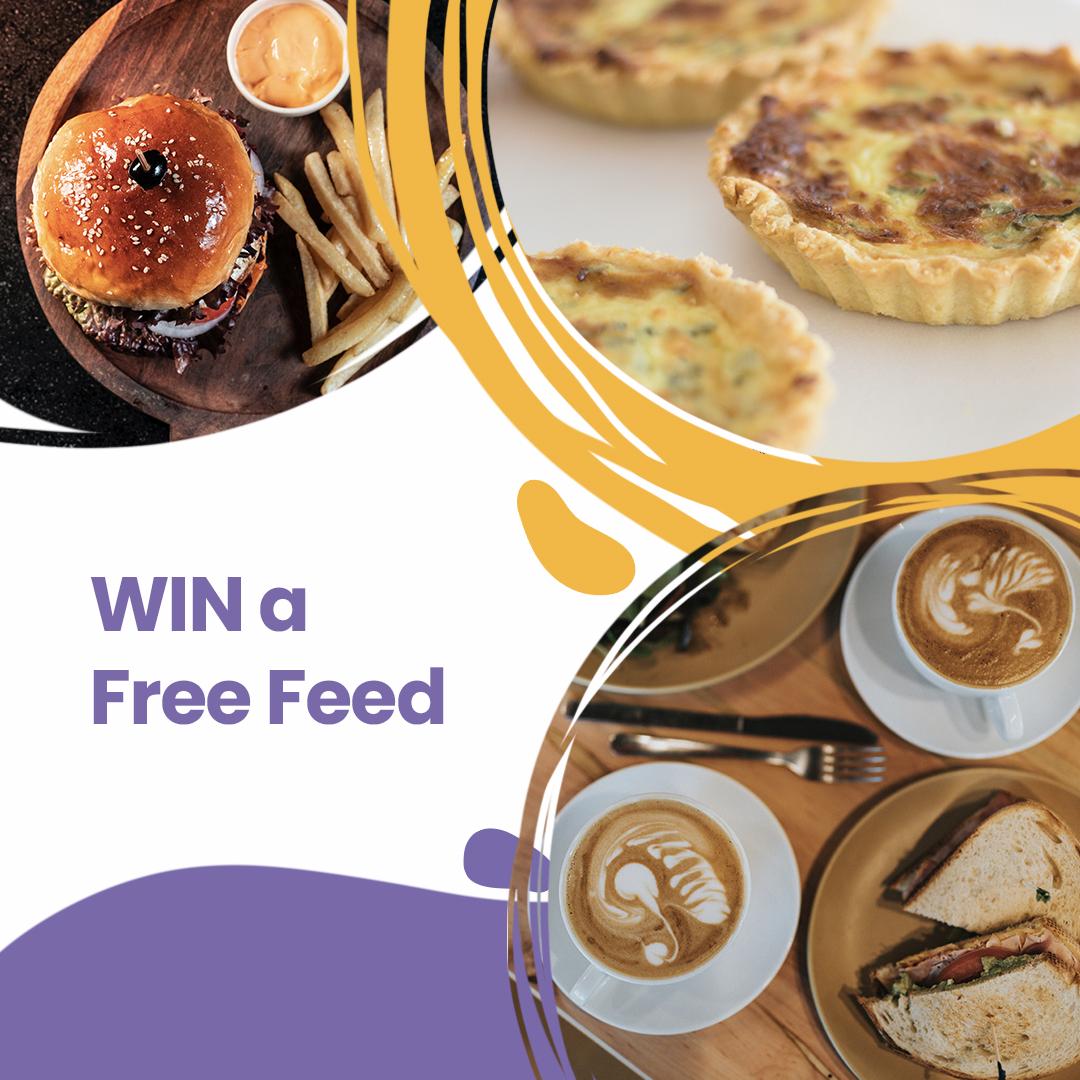 PIN Free Feed