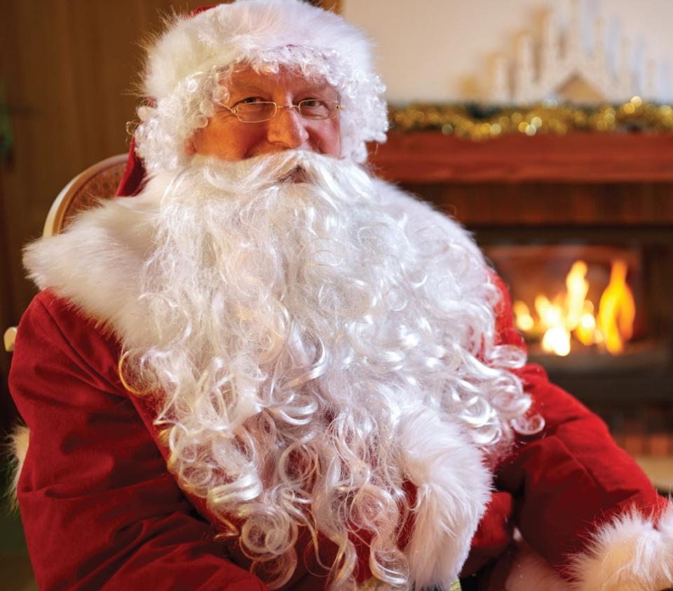 Santa Photos The Pines 