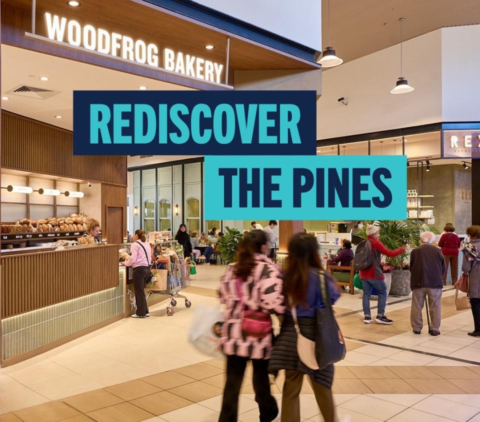 discover what's new the pines rediscover